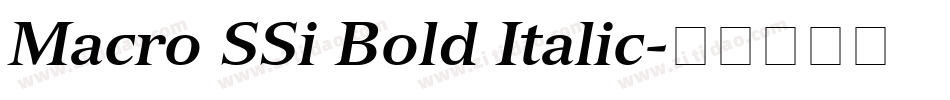Macro SSi Bold Italic字体转换